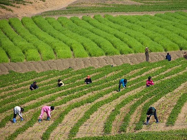 Kuzey Kore'den hiç görülmemiş fotoğraflar - 46