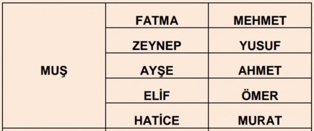 Türkiye'de en çok kullanılan isimler - 13