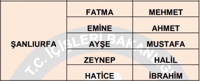 Türkiye'de en çok kullanılan isimler - 74