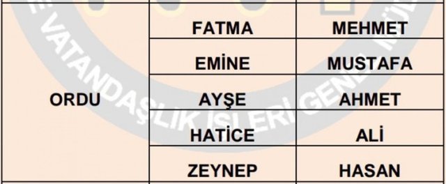 Türkiye'de en çok kullanılan isimler - 37
