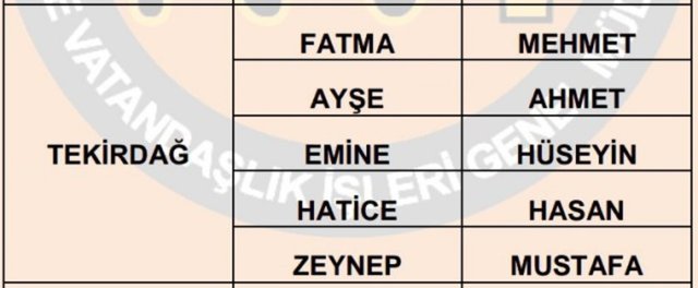 Türkiye'de en çok kullanılan isimler - 61