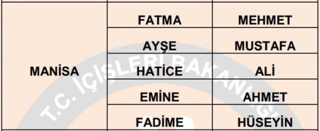 Türkiye'de en çok kullanılan isimler - 28