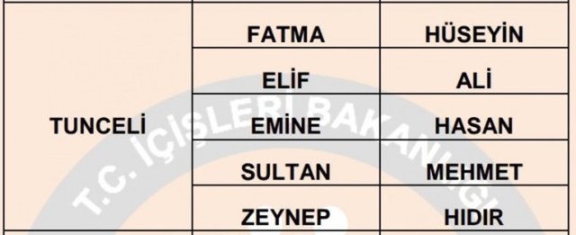 Türkiye'de en çok kullanılan isimler - 24