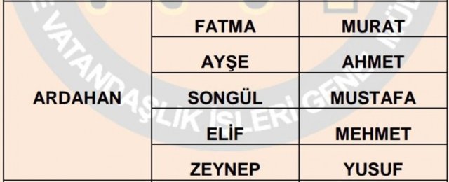 Türkiye'de en çok kullanılan isimler - 77