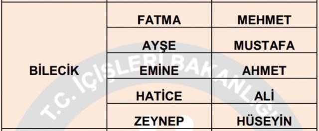 Türkiye'de en çok kullanılan isimler - 21