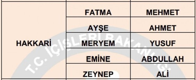 Türkiye'de en çok kullanılan isimler - 19