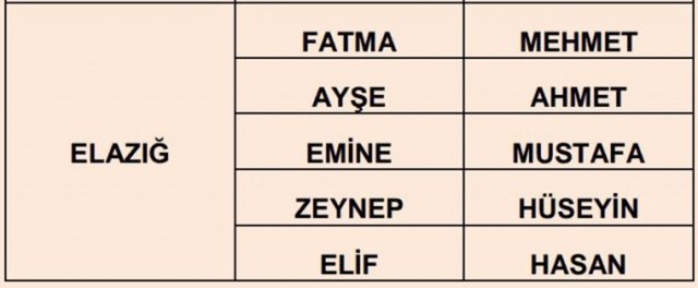 Türkiye'de en çok kullanılan isimler - 30
