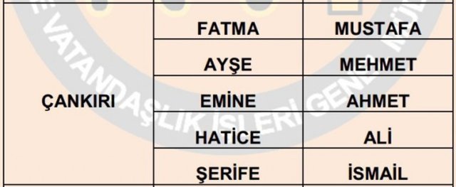 Türkiye'de en çok kullanılan isimler - 42