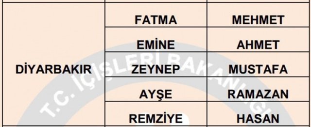 Türkiye'de en çok kullanılan isimler - 38