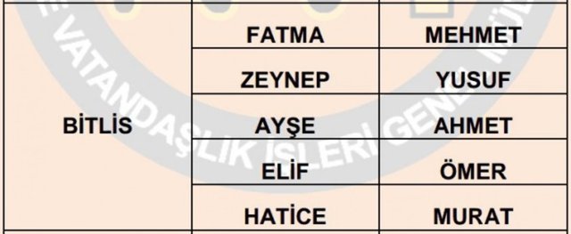 Türkiye'de en çok kullanılan isimler - 59