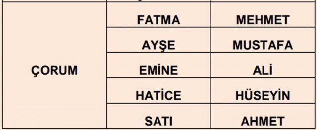 Türkiye'de en çok kullanılan isimler - 31