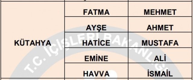 Türkiye'de en çok kullanılan isimler - 18