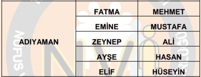 Türkiye'de en çok kullanılan isimler - 32