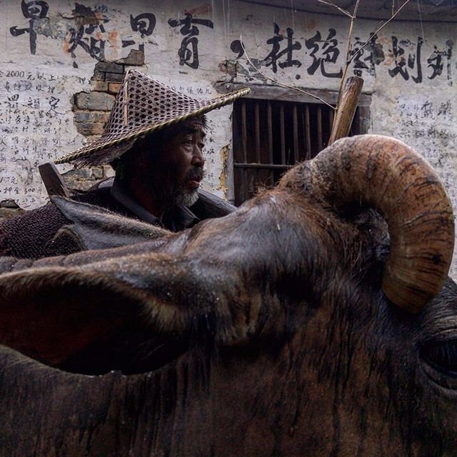 National Geographic'ten harika kareler - 717