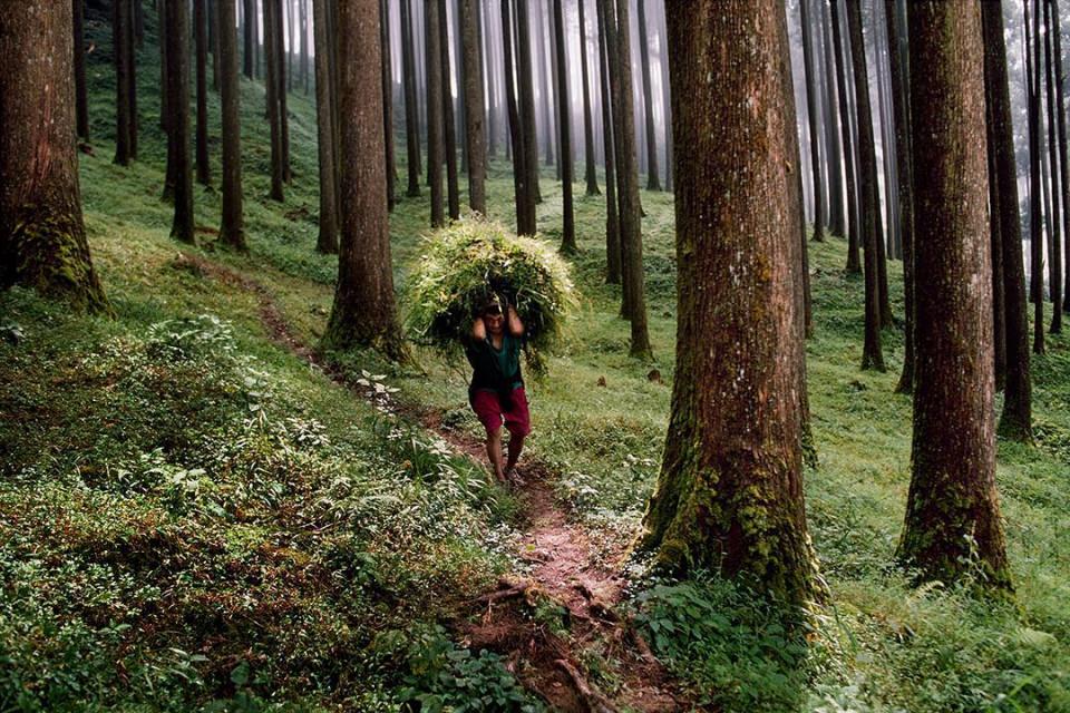 National Geographic'ten harika kareler - 874