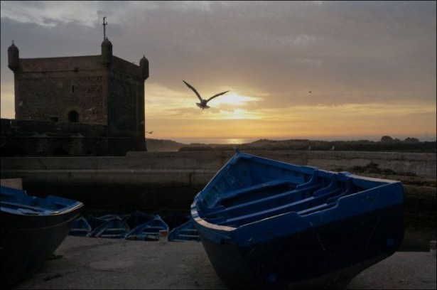 National Geographic'ten harika kareler - 673