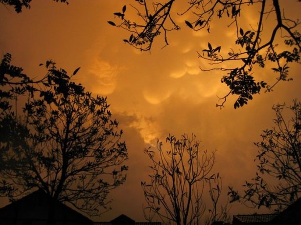 National Geographic'ten harika kareler - 772