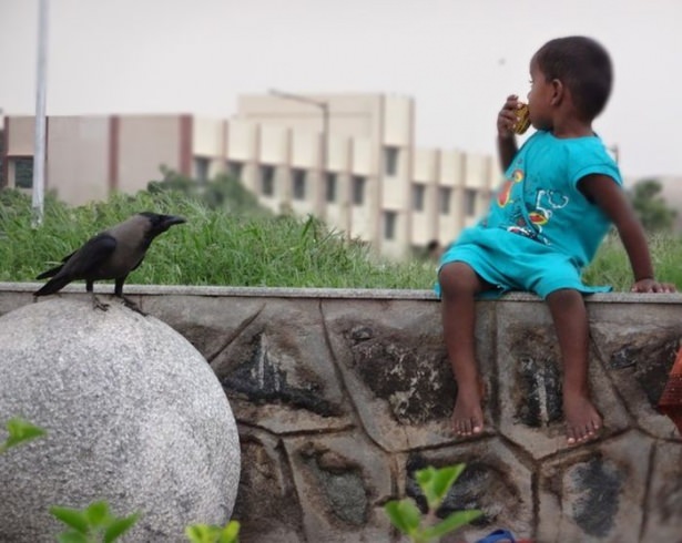 National Geographic'ten harika kareler - 830