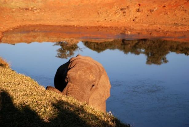 National Geographic'ten harika kareler - 502