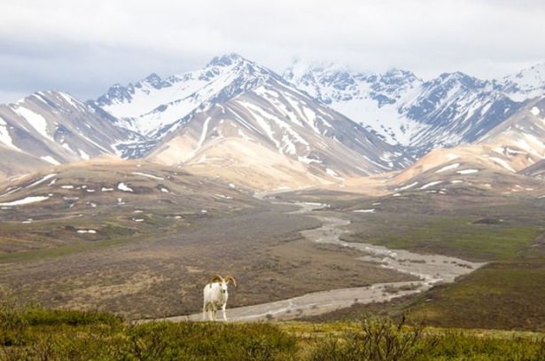 National Geographic'ten harika kareler - 856