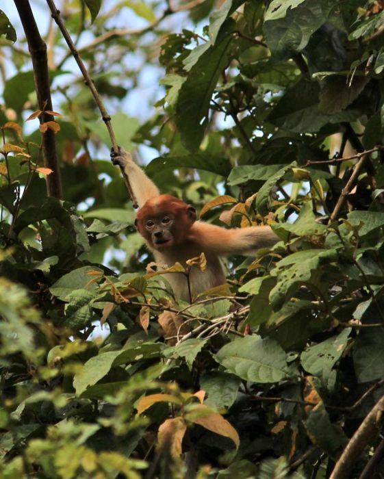 National Geographic'ten harika kareler - 558