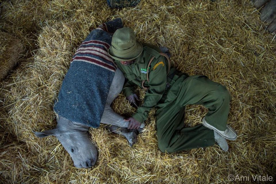 National Geographic'ten harika kareler - 667