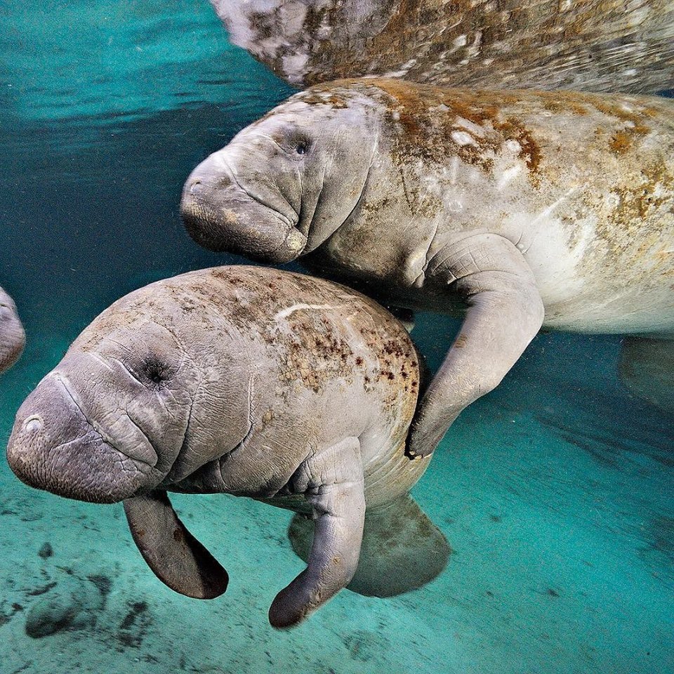 National Geographic'ten harika kareler - 815