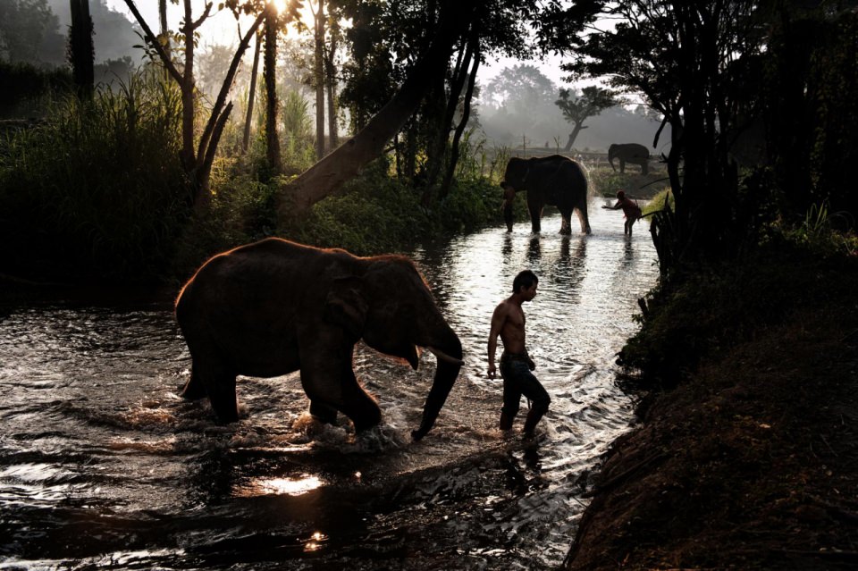 National Geographic'ten harika kareler - 593