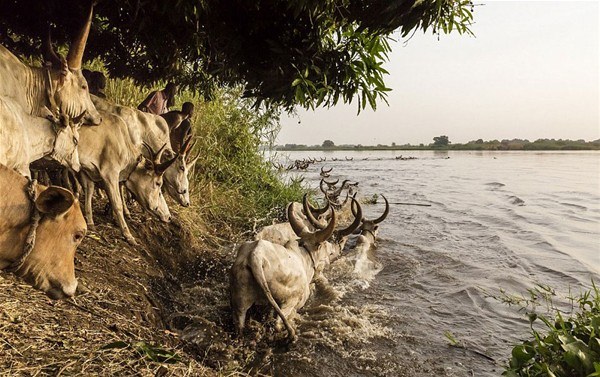 Güney Sudan'ın ilginç kabilesi - 18