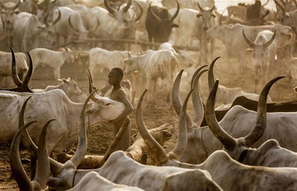 Güney Sudan'ın ilginç kabilesi - 3