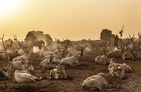 Güney Sudan'ın ilginç kabilesi - 5