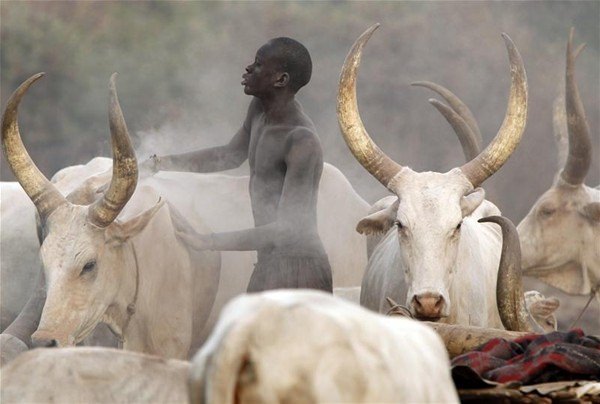 Güney Sudan'ın ilginç kabilesi - 17
