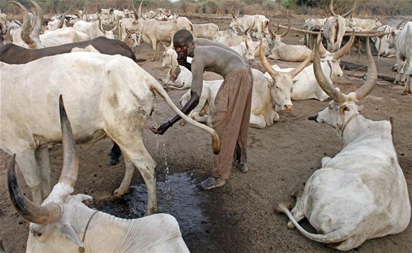 Güney Sudan'ın ilginç kabilesi - 24