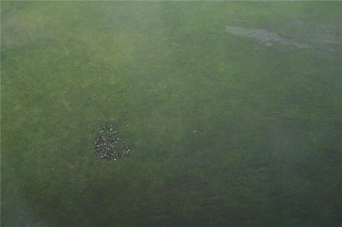 Hakkari'nin kuşbakışı görünümü - 750