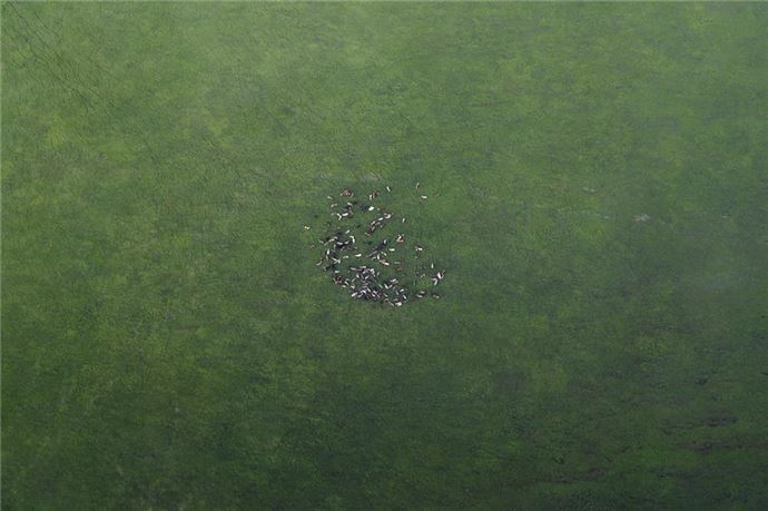 Hakkari'nin kuşbakışı görünümü - 593