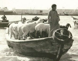 Dubai'nin değişimi şaşırtıyor - 1