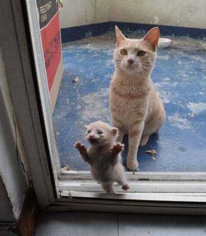 Sosyal medyada paylaşılan birbirinden ilginç fotoğraflar - 80