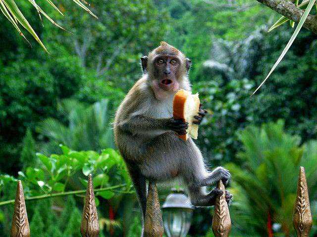 Sosyal medyada paylaşılan birbirinden ilginç fotoğraflar - 57