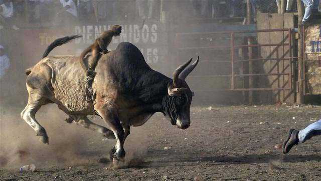 Sosyal medyada paylaşılan birbirinden ilginç fotoğraflar - 81