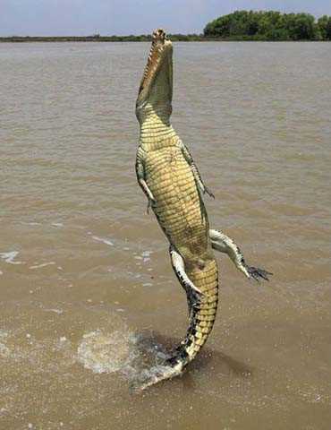 Sosyal medyada paylaşılan birbirinden ilginç fotoğraflar - 62