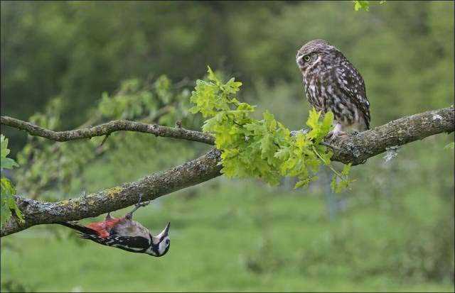 Sosyal medyada paylaşılan birbirinden ilginç fotoğraflar - 86