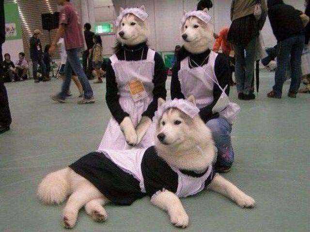 Sosyal medyada paylaşılan birbirinden ilginç fotoğraflar - 56