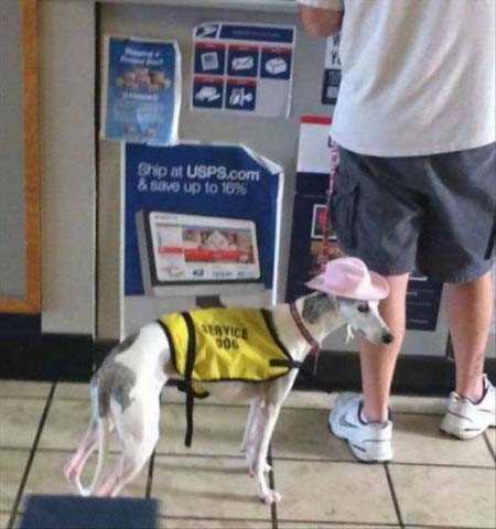 Sosyal medyada paylaşılan birbirinden ilginç fotoğraflar - 115