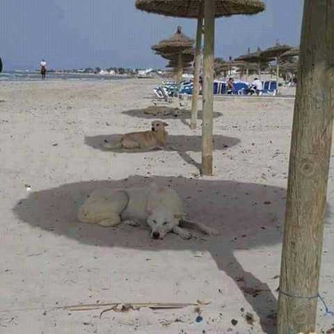 Sosyal medyada paylaşılan birbirinden ilginç fotoğraflar - 125