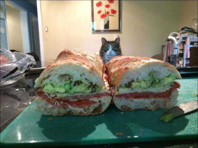 Sosyal medyada paylaşılan birbirinden ilginç fotoğraflar - 28