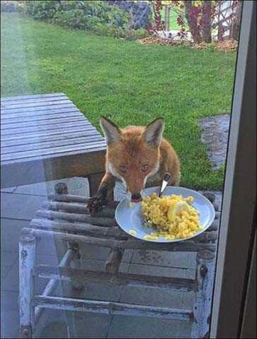 Sosyal medyada paylaşılan birbirinden ilginç fotoğraflar - 111