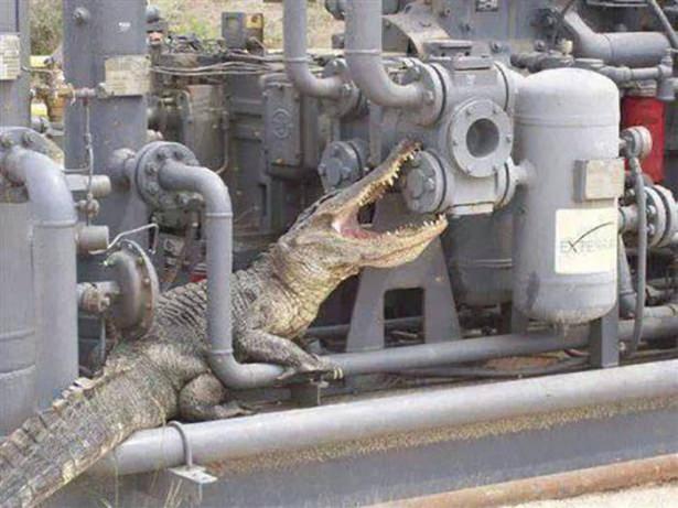 Sosyal medyada paylaşılan birbirinden ilginç fotoğraflar - 45