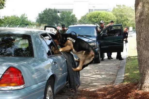 Sosyal medyada paylaşılan birbirinden ilginç fotoğraflar - 94
