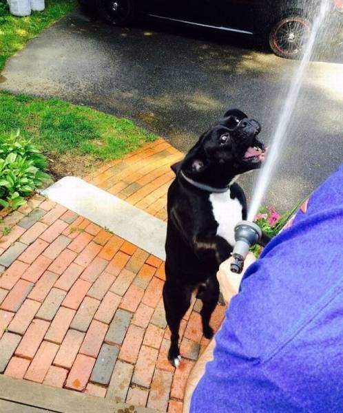 Sosyal medyada paylaşılan birbirinden ilginç fotoğraflar - 75