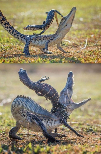 Sosyal medyada paylaşılan birbirinden ilginç fotoğraflar - 124